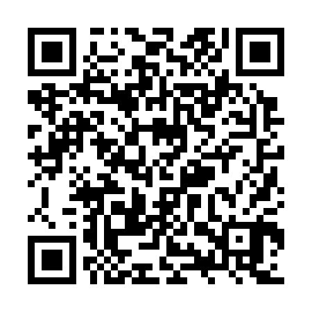 QR code for ZYZ300