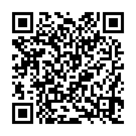 QR code for ZYZ970