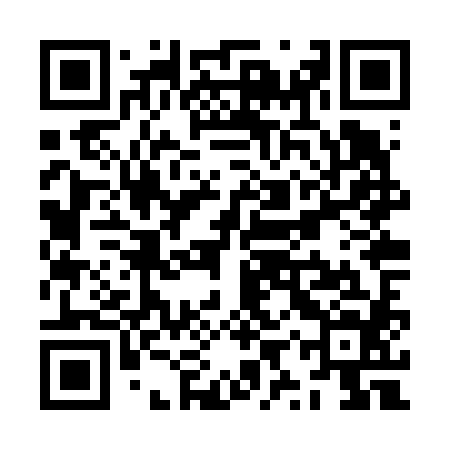 QR code for ZYZV84