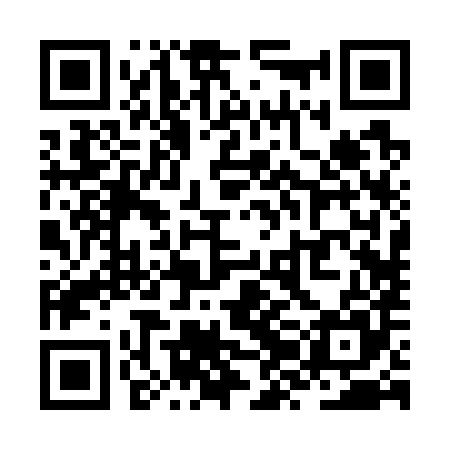 QR code for ZZB785