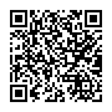 QR code for ZZDQ95