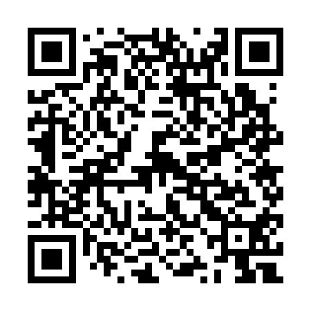 QR code for ZZG310