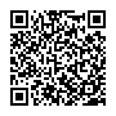 QR code for ZZG785