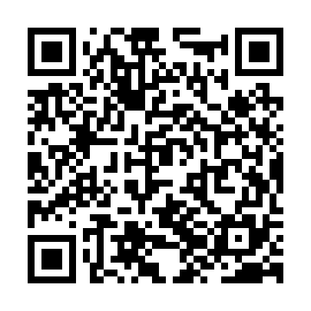 QR code for ZZIR75