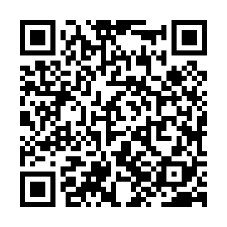 QR code for ZZJ028