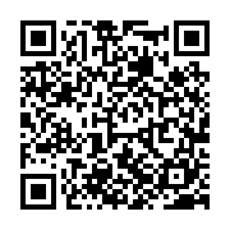 QR code for ZZL265
