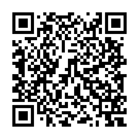 QR code for ZZL555