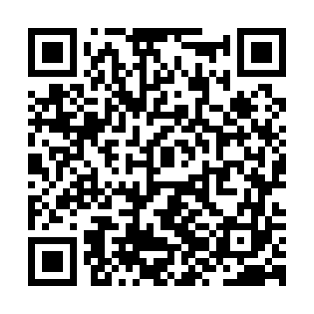 QR code for ZZO163