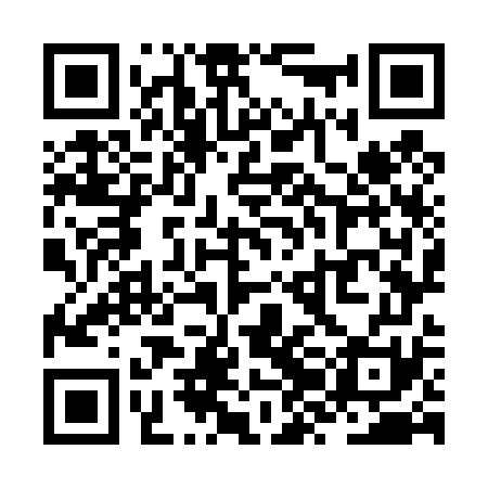 QR code for ZZO471