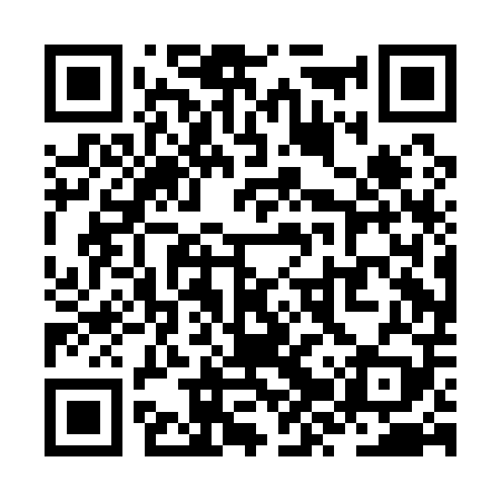 QR code for ZZPA09