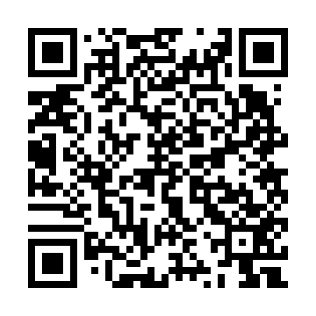 QR code for ZZR653