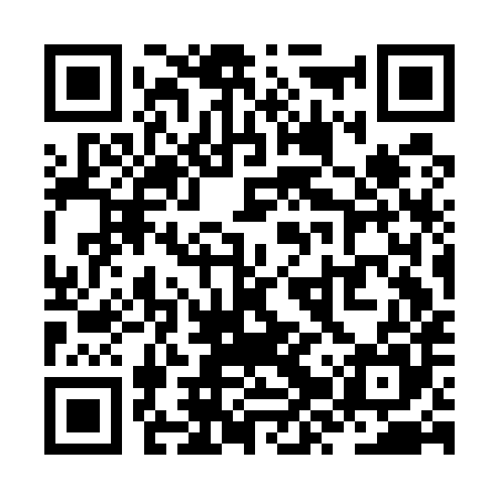 QR code for ZZSE85