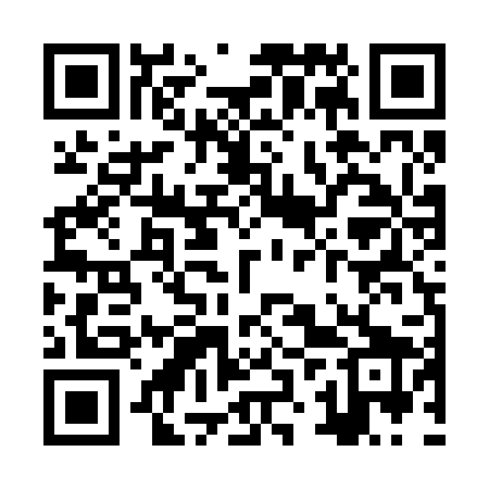 QR code for ZZUR29
