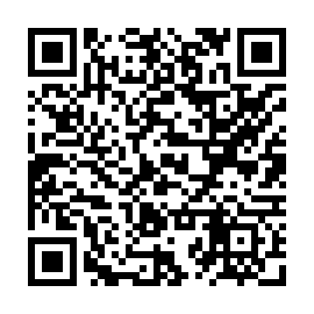 QR code for ZZV863