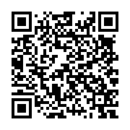 QR code for ZZVL37