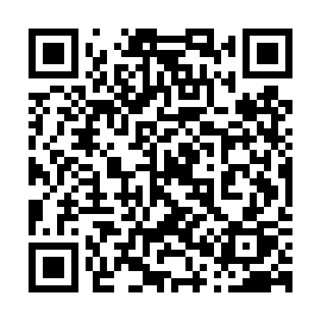 QR code for 005DSP