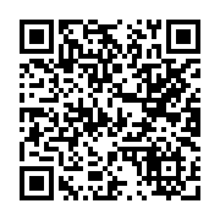 QR code for 009HIN