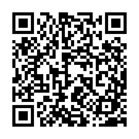 QR code for 010QDM