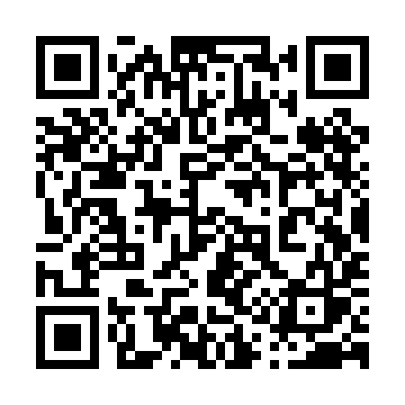 QR code for 013PIS