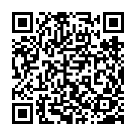 QR code for 029VIZ