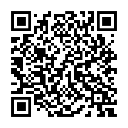 QR code for 038CPV