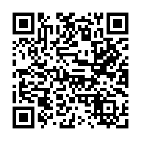 QR code for 038IIS