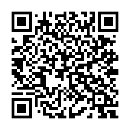 QR code for 038TEF