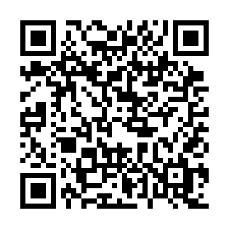 QR code for 041SDL