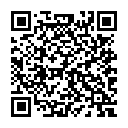 QR code for 046NIF