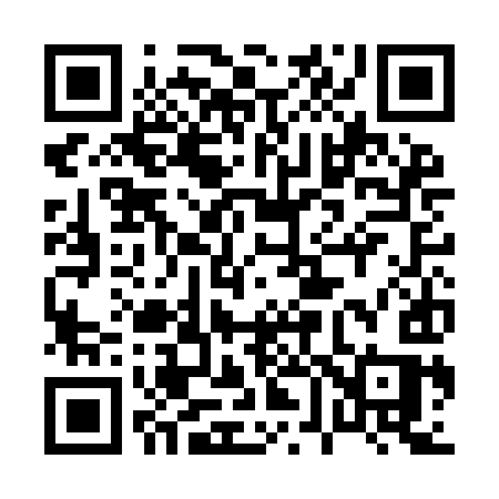 QR code for 063IIS