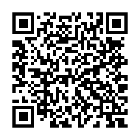 QR code for 096LZI