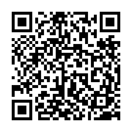 QR code for 101NFS