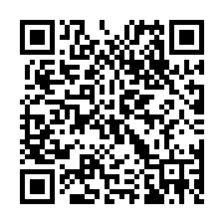 QR code for 101QLT