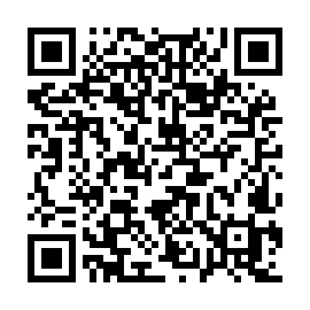 QR code for 110MMI