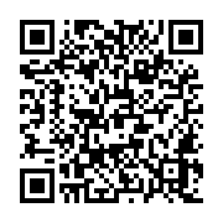 QR code for 119MMZ