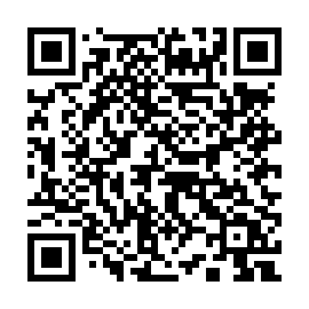 QR code for 125LPT