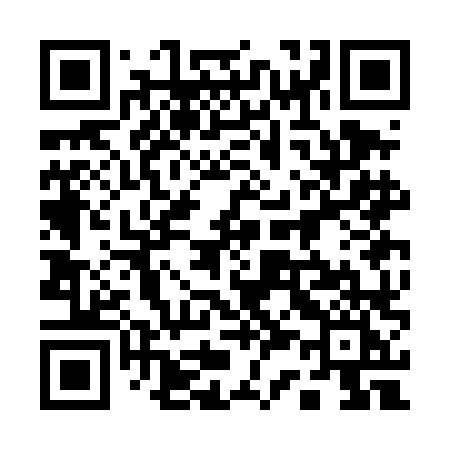 QR code for 133DLI