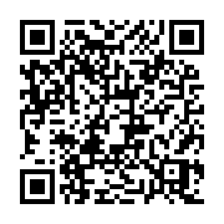 QR code for 133IVR