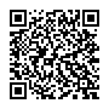 QR code for 141PRG