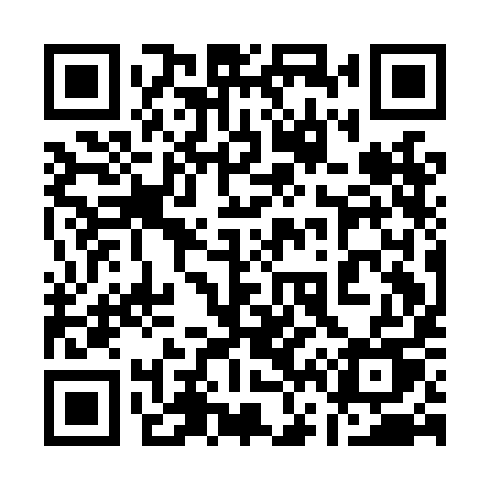 QR code for 161LIU