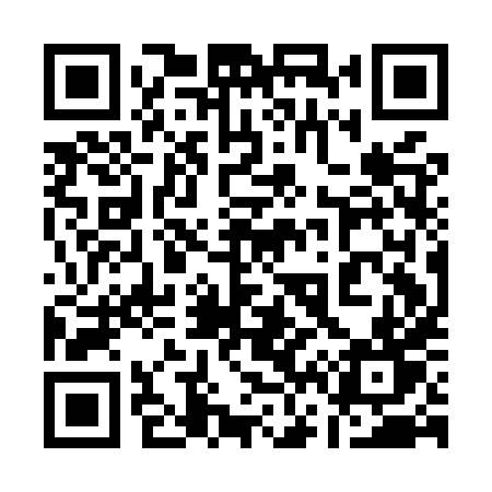 QR code for 161MXT