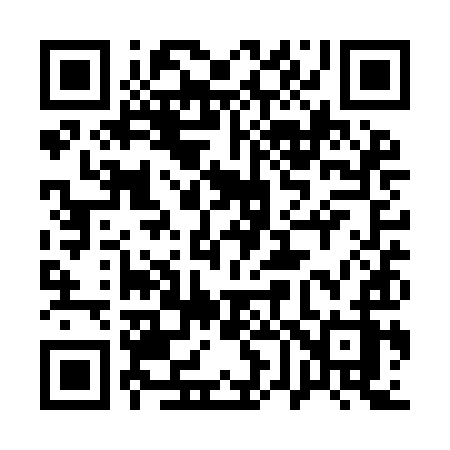 QR code for 161YIZ