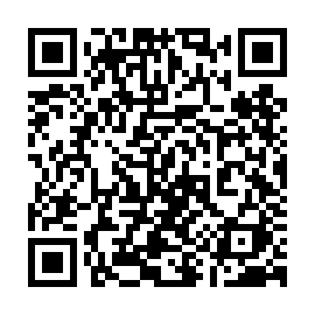 QR code for 196DJI