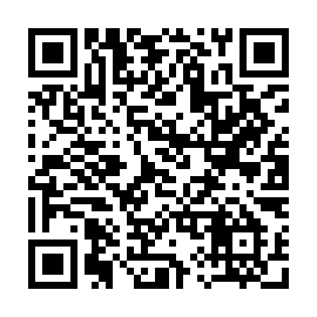 QR code for 196IIM