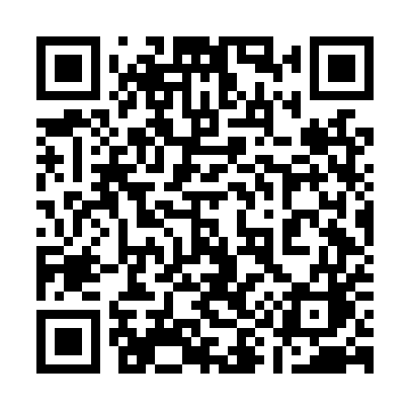QR code for 196LUC