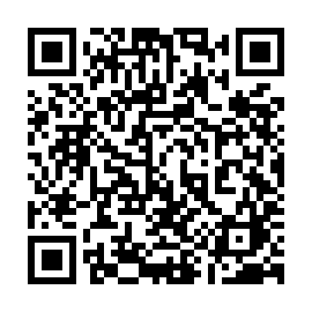 QR code for 196MIC