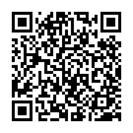QR code for 196PMS