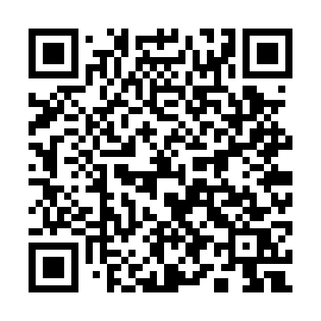 QR code for 197PWS