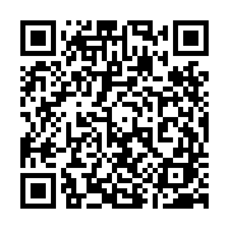 QR code for 199LDH