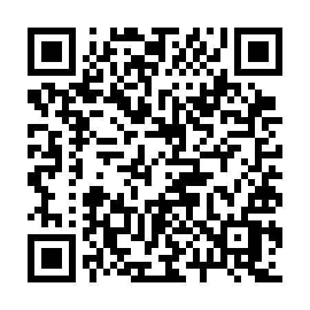 QR code for 205SIV